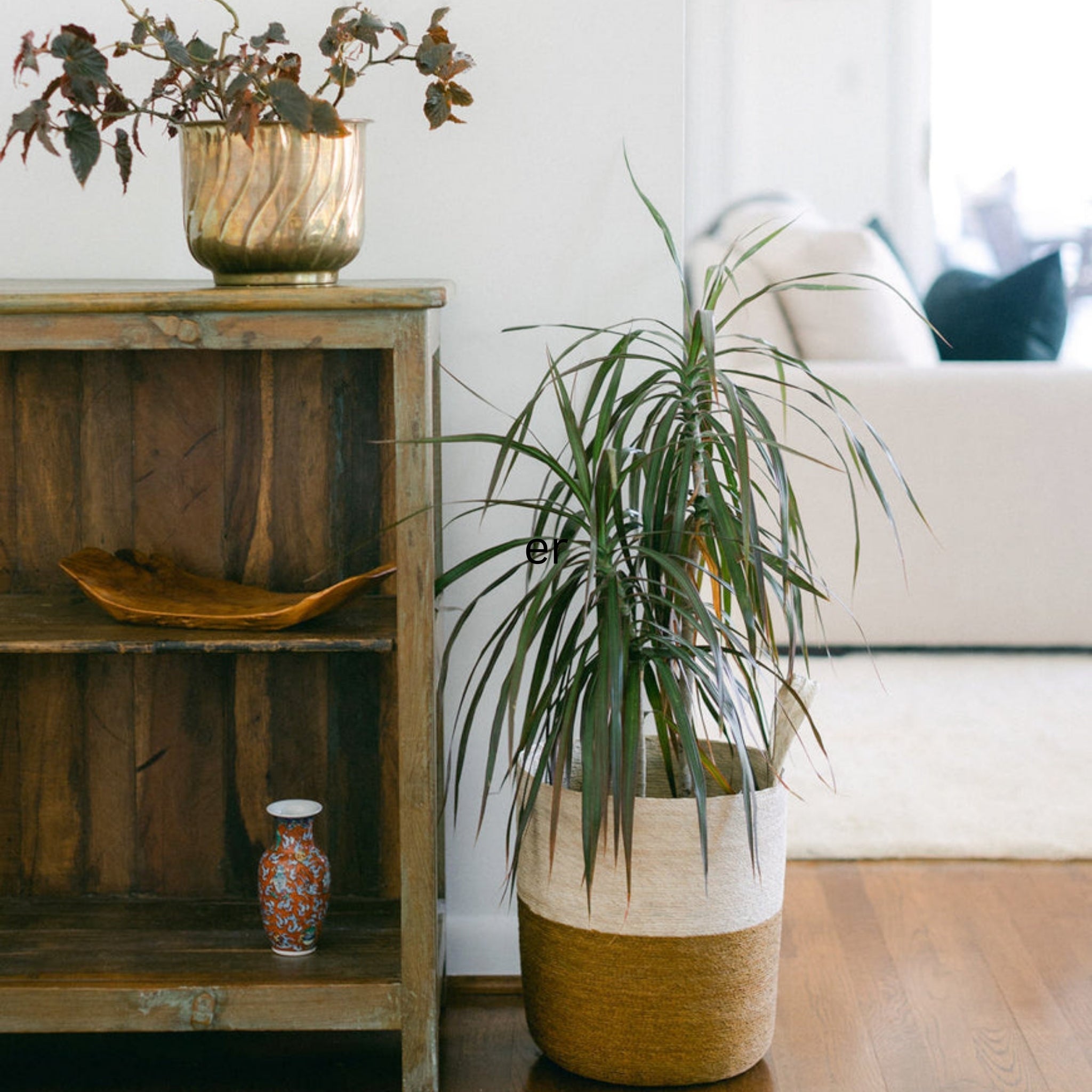 The Palmera Hanging Basket